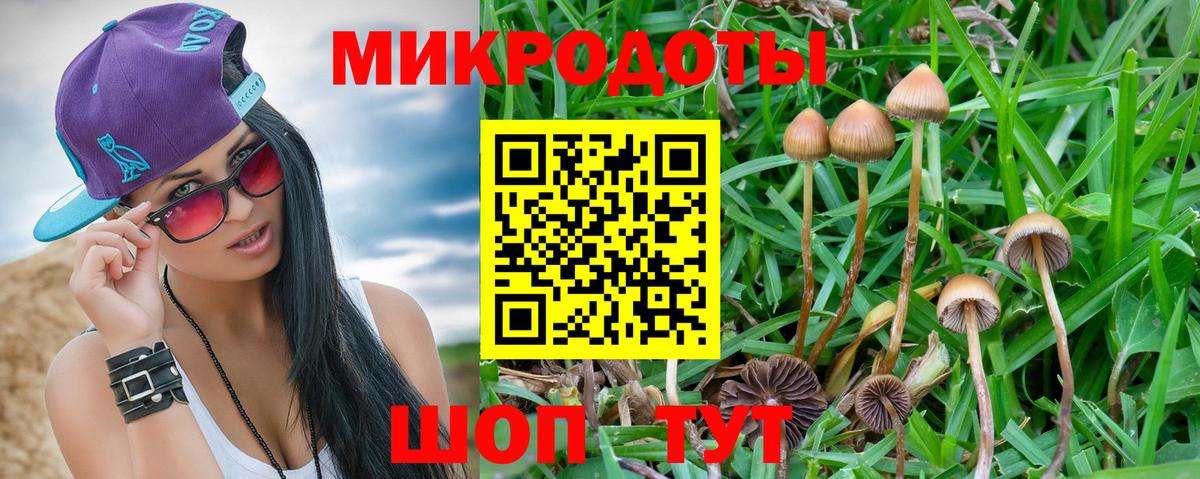 Кирово-Чепецк  Псилоцибиновые грибы GOLDEN TEACHER  Вход с VPN 