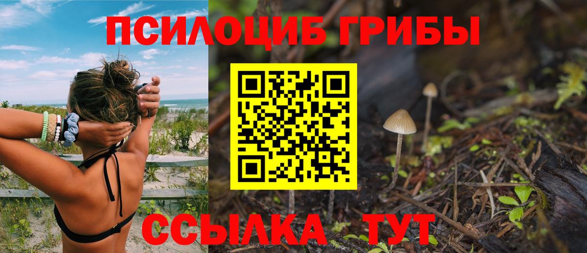 Галлюциногенные грибы мицелий Кирово-Чепецк
